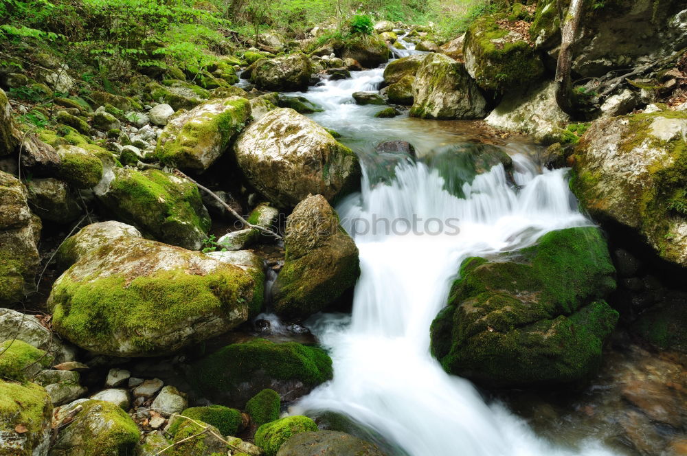 Similar – Foto Bild Flussabwärts Umwelt Natur