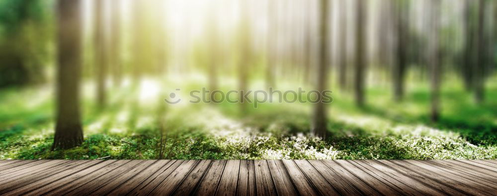 Similar – Image, Stock Photo hansguckindieluft