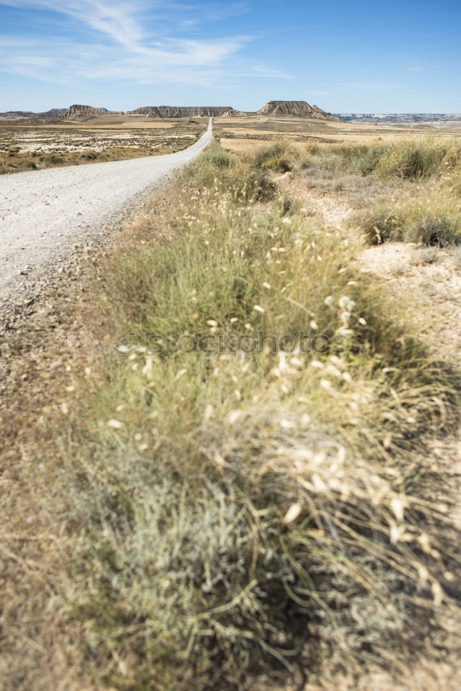 Similar – Image, Stock Photo Woman walking on dirt road.