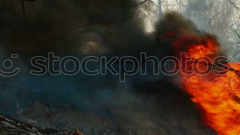 Similar – Image, Stock Photo Burn down Bavaria II