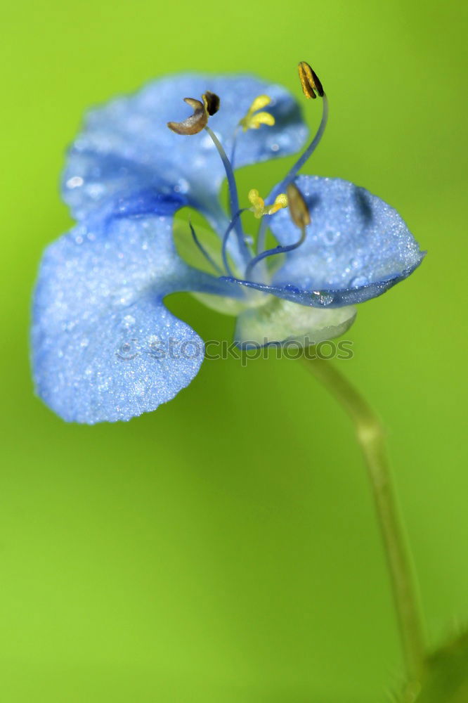 Similar – Image, Stock Photo shining blue Exterior shot