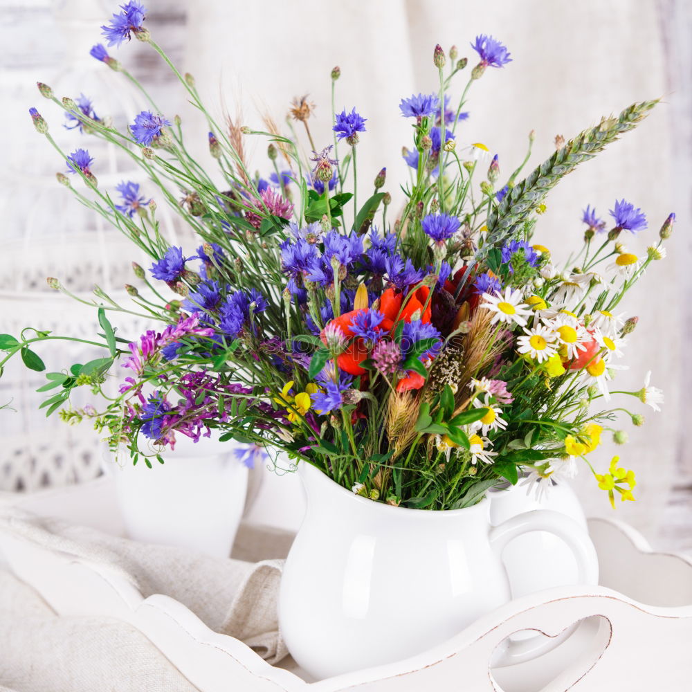 Image, Stock Photo Watering can with colorful garden flowers on the table