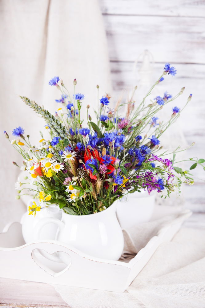 Similar – Image, Stock Photo Watering can with colorful garden flowers on the table