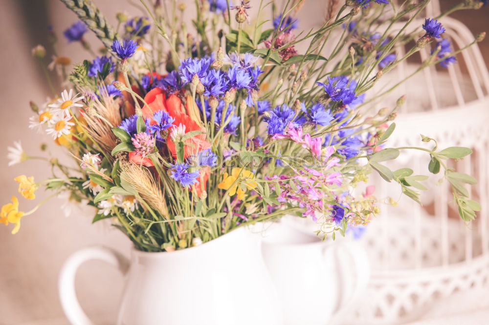 Similar – Flowers in the basket on hanger on a wall