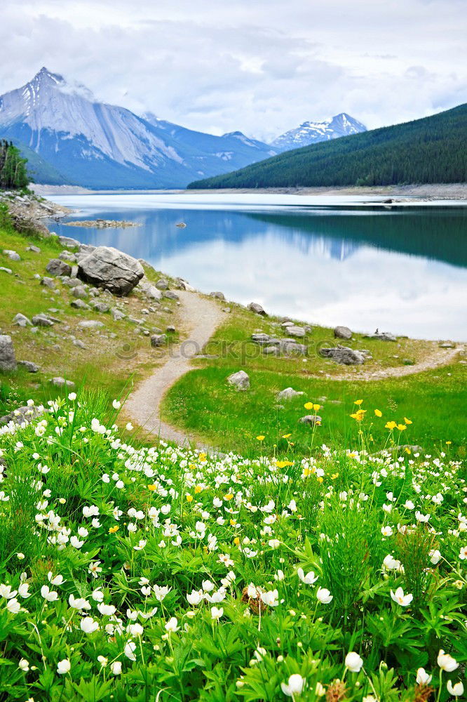 Image, Stock Photo Lake Champferer Mountain