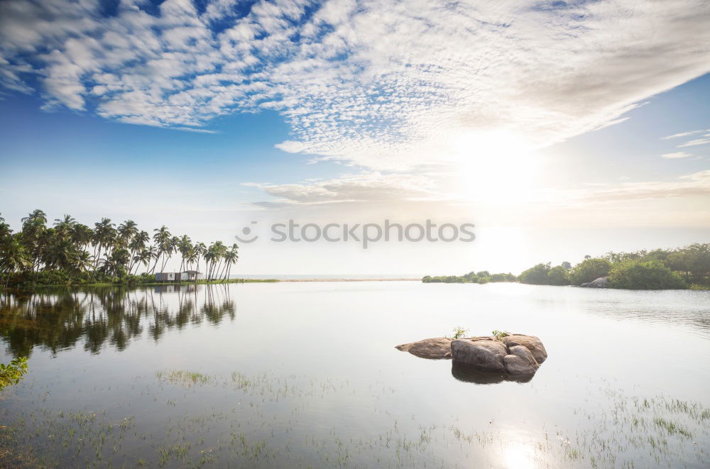 Similar – Image, Stock Photo dreamtime