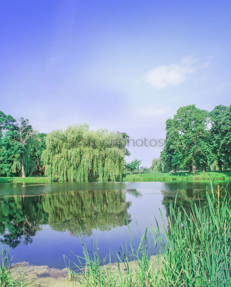 Similar – Foto Bild Ein Modellsegelboot segelt an einem Sommertag auf einem Weiher