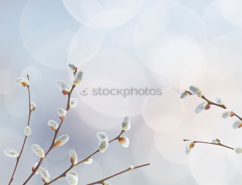 Similar – Image, Stock Photo Christmas postcard