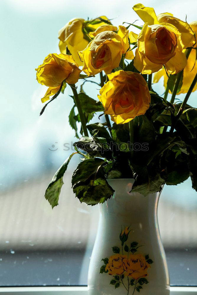 Similar – Image, Stock Photo wildflower bouquet Style