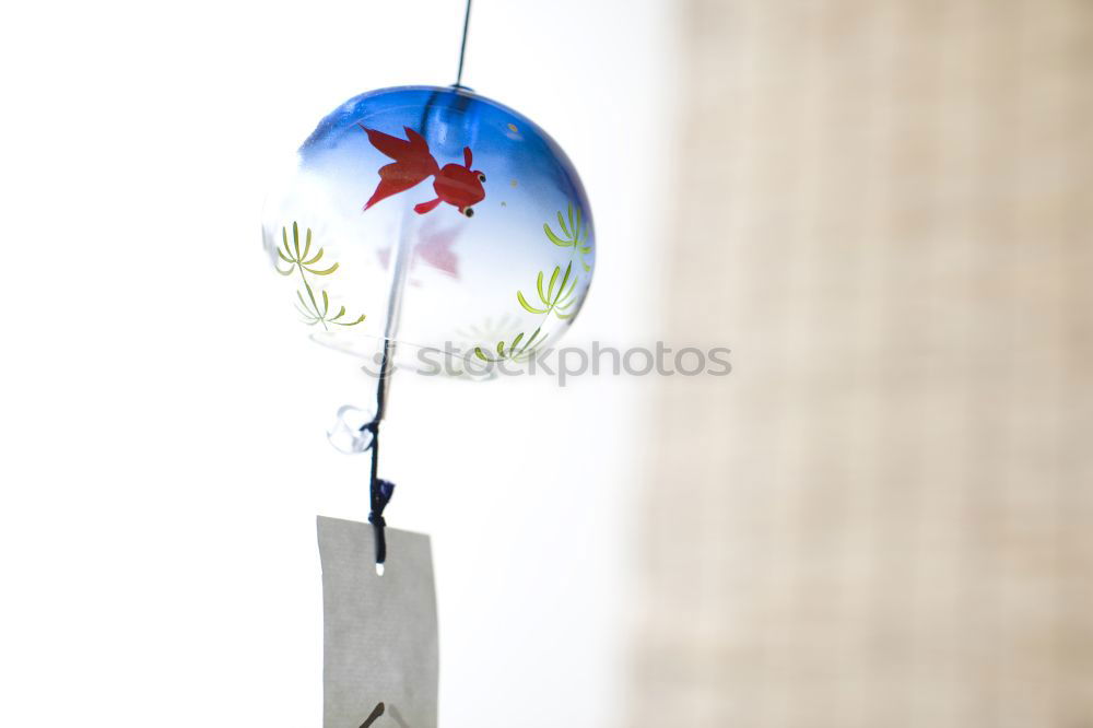 Similar – Image, Stock Photo egg Flat (apartment)