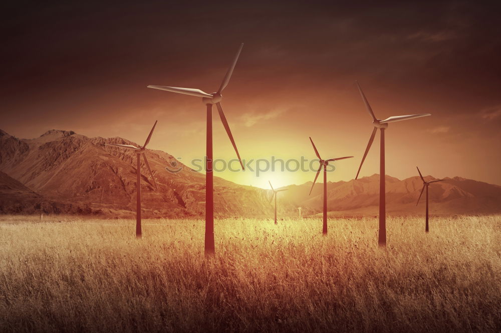 Similar – Image, Stock Photo Sunrise at the windmills