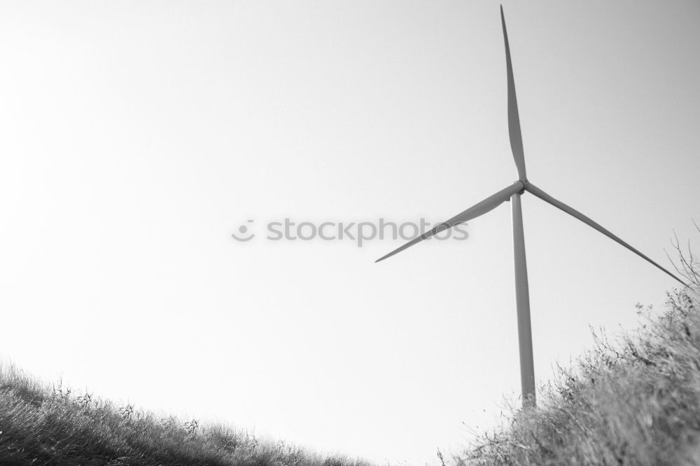 Similar – Image, Stock Photo Eva Tree Wind energy plant