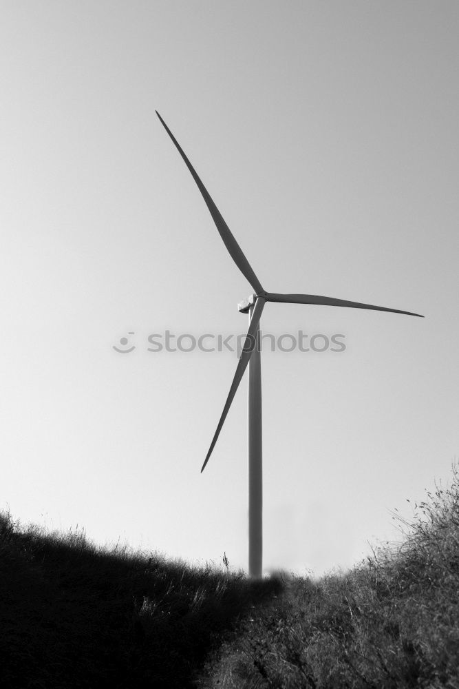 Similar – Image, Stock Photo Eva Tree Wind energy plant