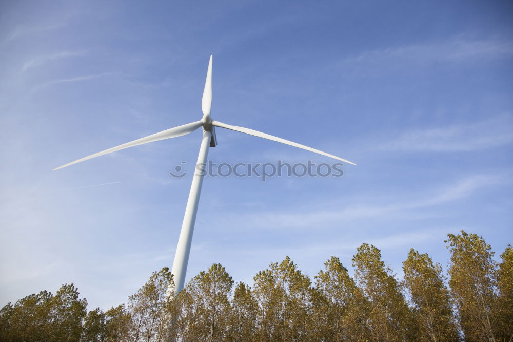 Dangerous wind power