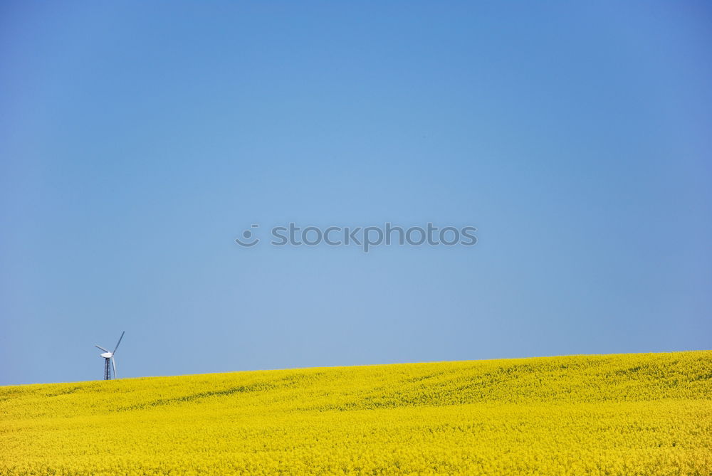 Similar – Image, Stock Photo Pointed cone heap of the former copper mining in the Mansfeld district behind a blooming rape field