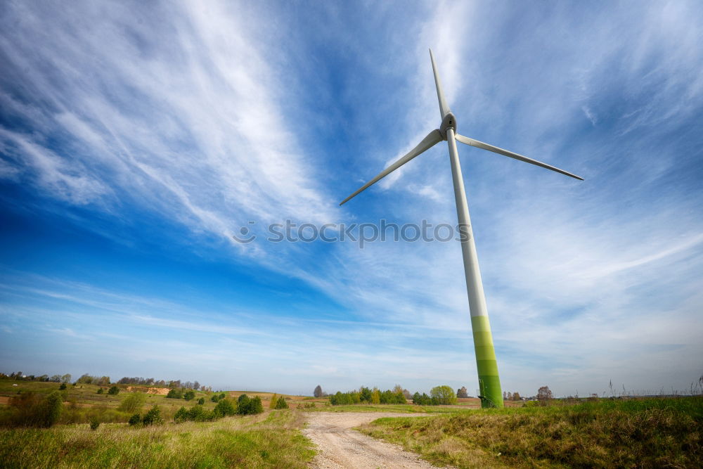 Similar – Foto Bild Pusteblume Raps Frühling