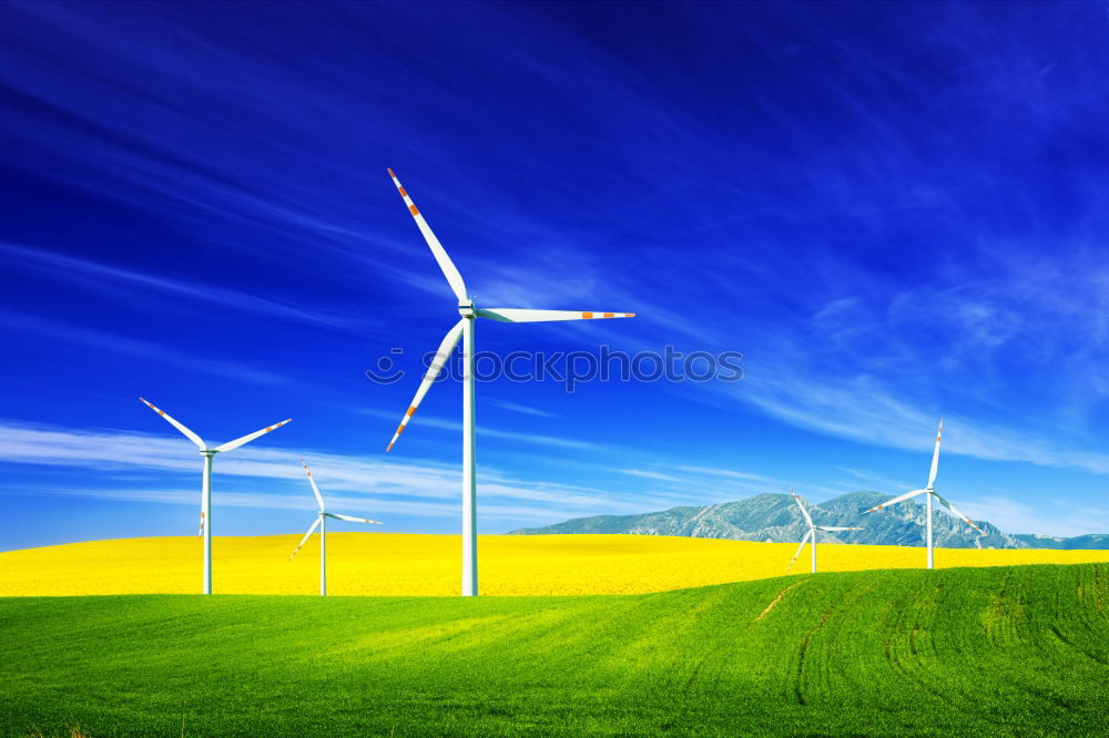 Renewable Energies Summer