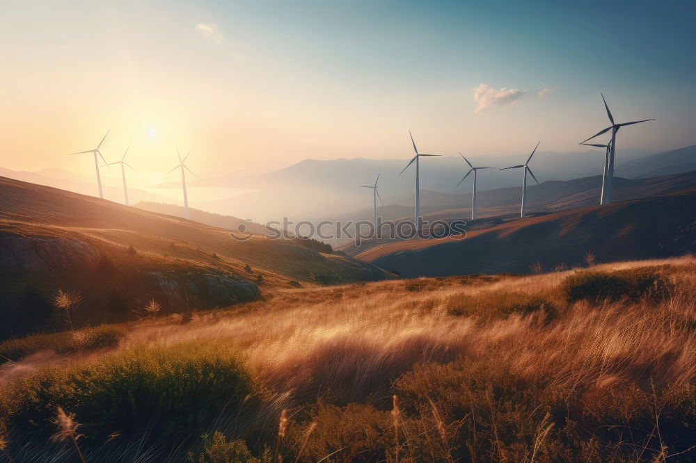 Similar – Wind Power Energy industry