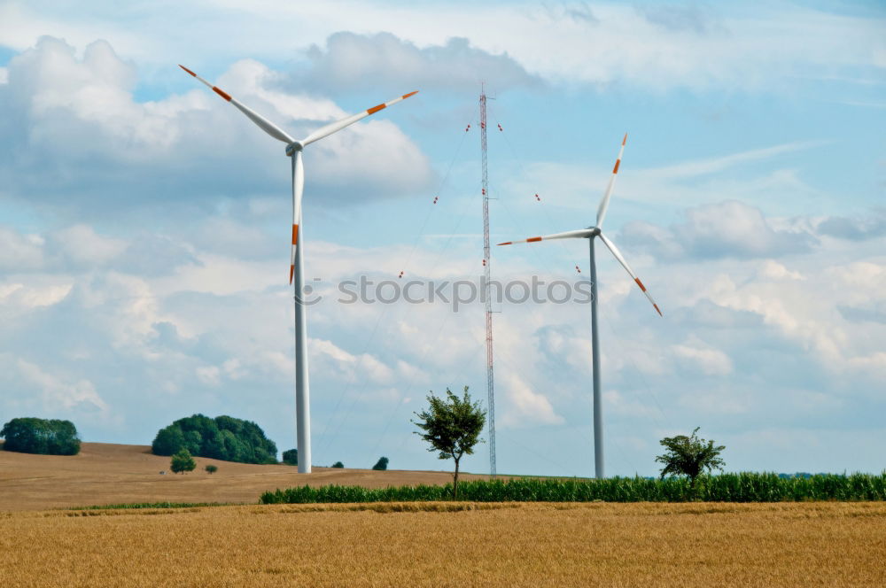 Similar – Image, Stock Photo Cuban Prairie