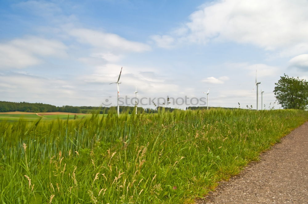 Similar – Image, Stock Photo HOME WAY Cycle path