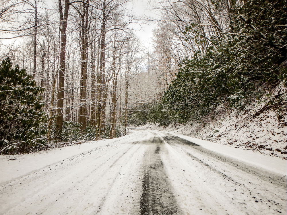 Similar – Image, Stock Photo lonesome road Life