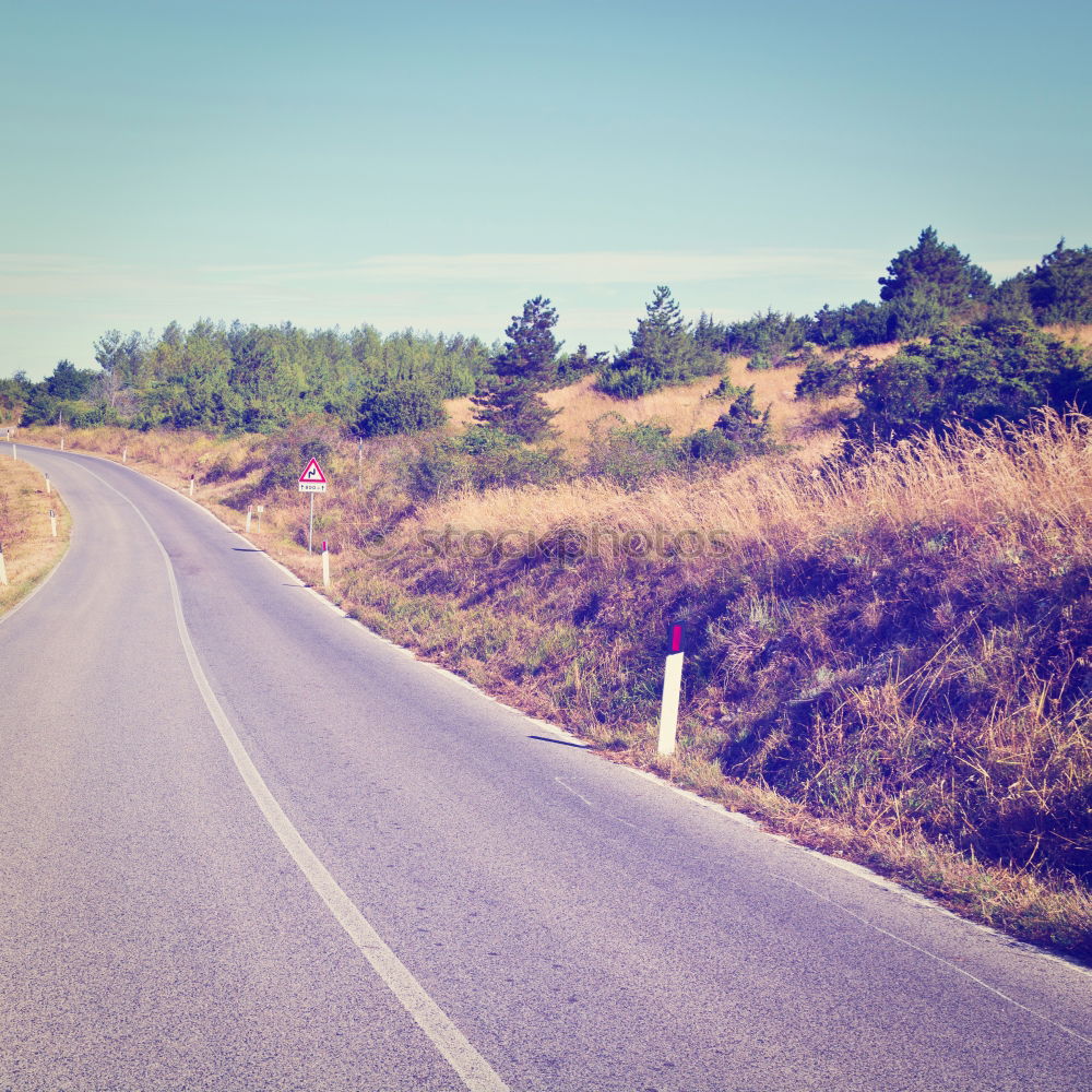 Similar – Image, Stock Photo Racing cyclist in sportswear rides his bike on an Italian country road