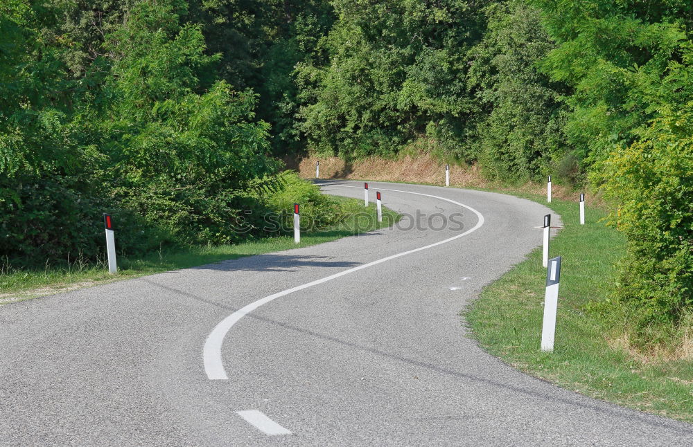 Similar – Image, Stock Photo road meadow Environment