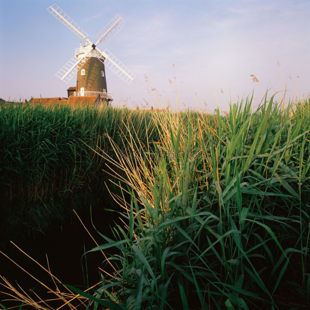 Similar – Image, Stock Photo X in the sky Windmill