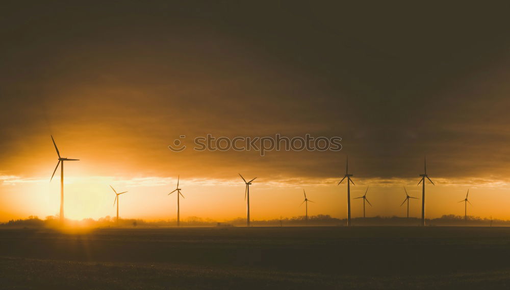 Similar – Image, Stock Photo Sunrise, sunrise.. Field