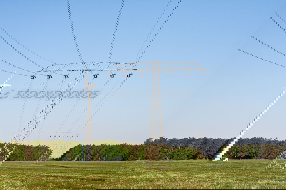 Similar – Image, Stock Photo Stories from the fence (XIX)
