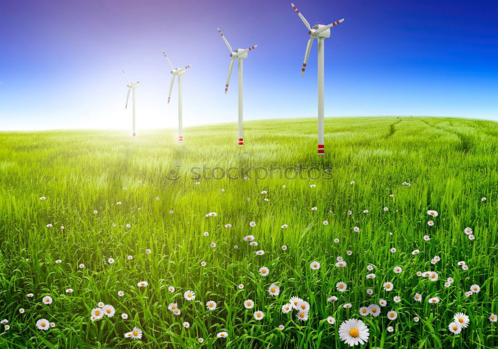 Similar – Foto Bild …energieschatten Feld