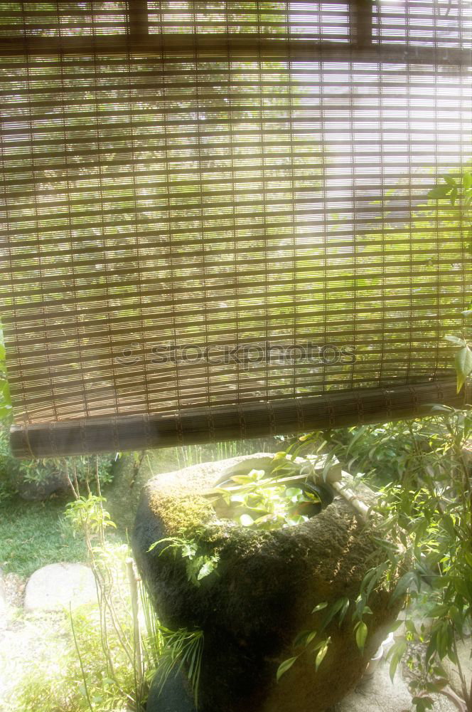 Similar – Image, Stock Photo window green Plant