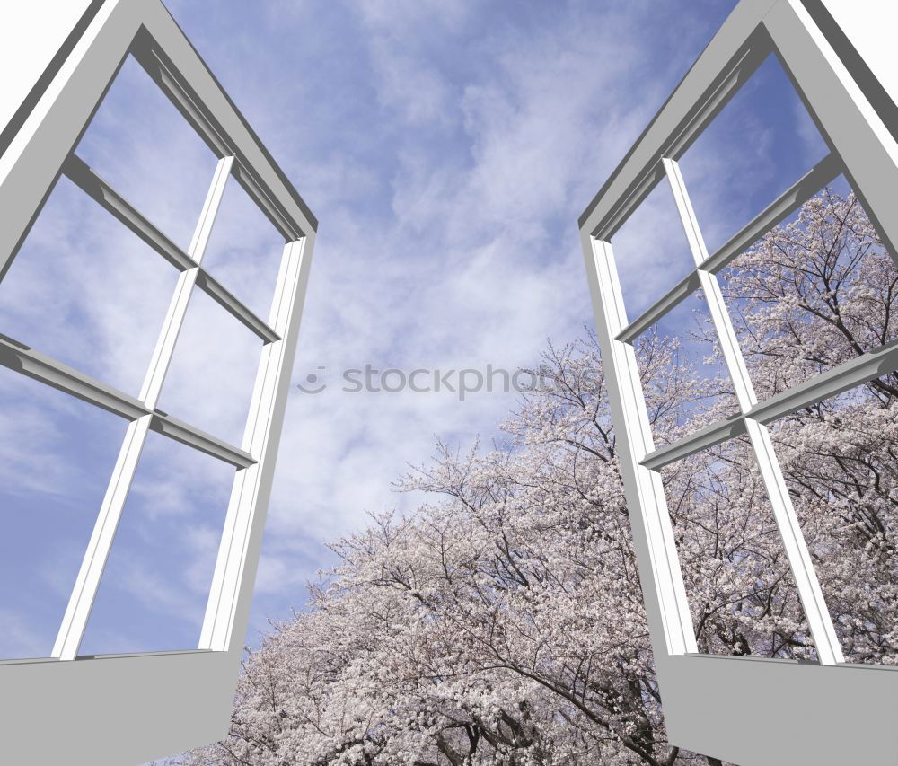 Similar – Image, Stock Photo tall