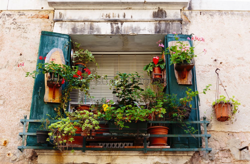 Similar – Image, Stock Photo Rustic flower pots in Cadaques, Spain