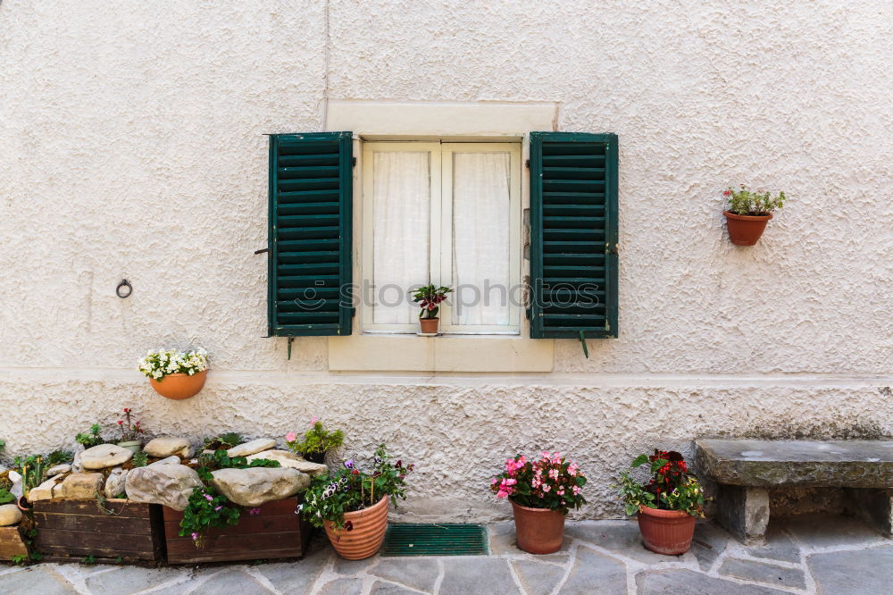 Similar – Image, Stock Photo Rustic flower pots in Cadaques, Spain