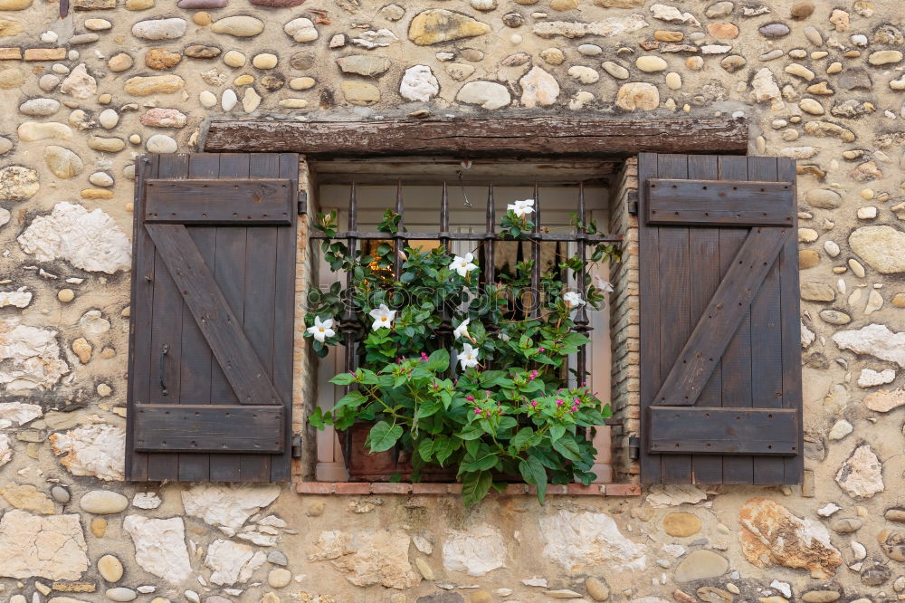 Similar – Image, Stock Photo Tondern Plant