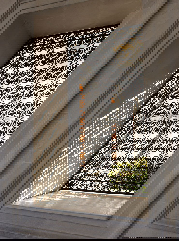 Similar – Foto Bild Fenster auf Kippe Blume