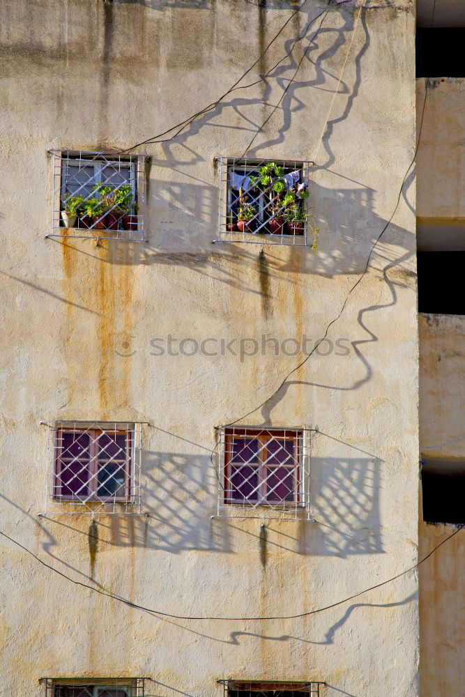 Similar – Image, Stock Photo beautiful facade Town