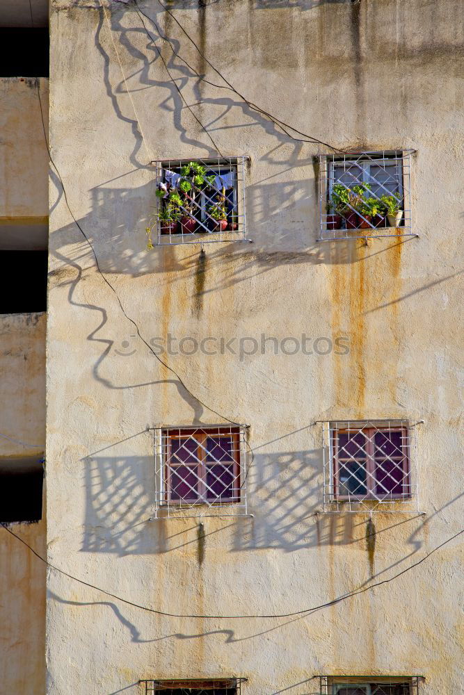 Similar – Image, Stock Photo beautiful facade Town