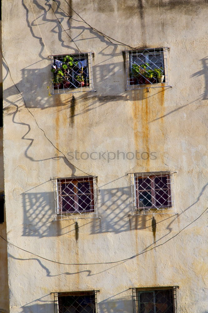 Similar – Image, Stock Photo beautiful facade Town