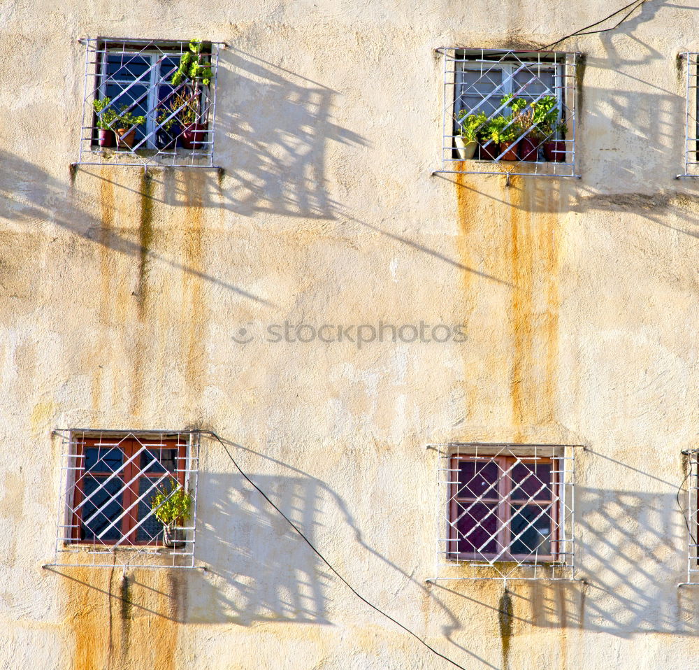 Similar – Image, Stock Photo roof garden Well-being