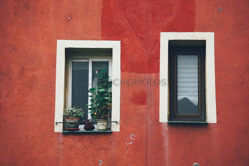 Similar – Image, Stock Photo Burano Cycling Bicycle