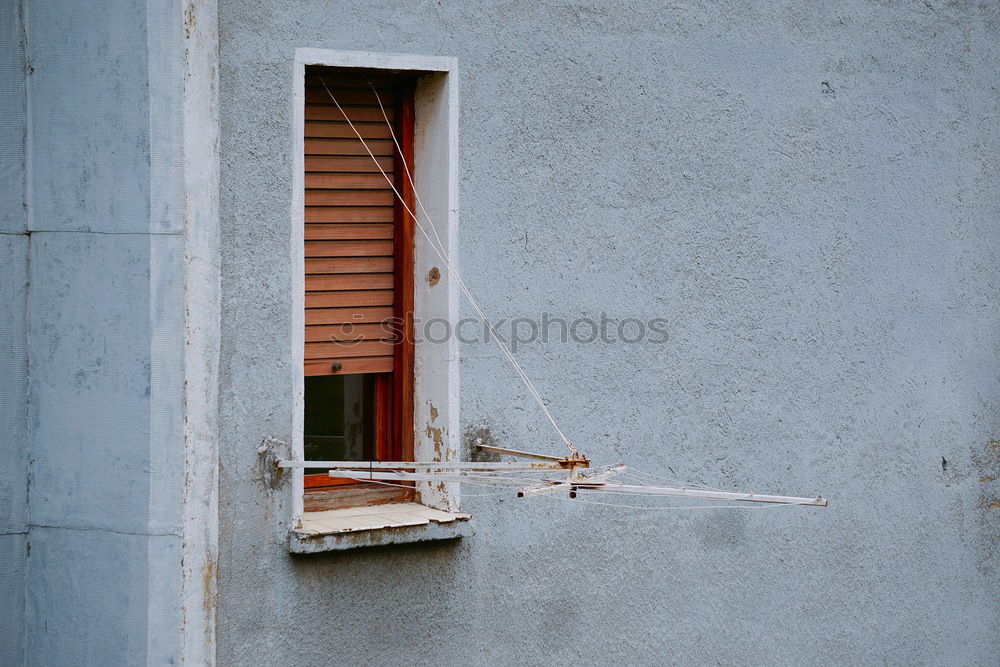 Similar – Jungsfoto Fensterscheibe