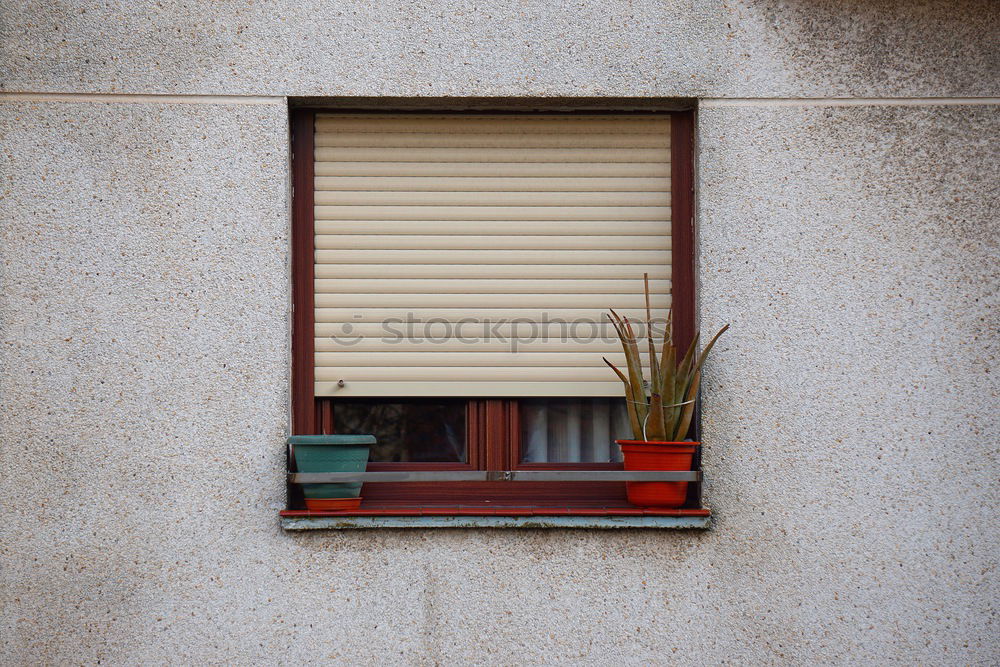 Similar – Image, Stock Photo spring Environment Plant