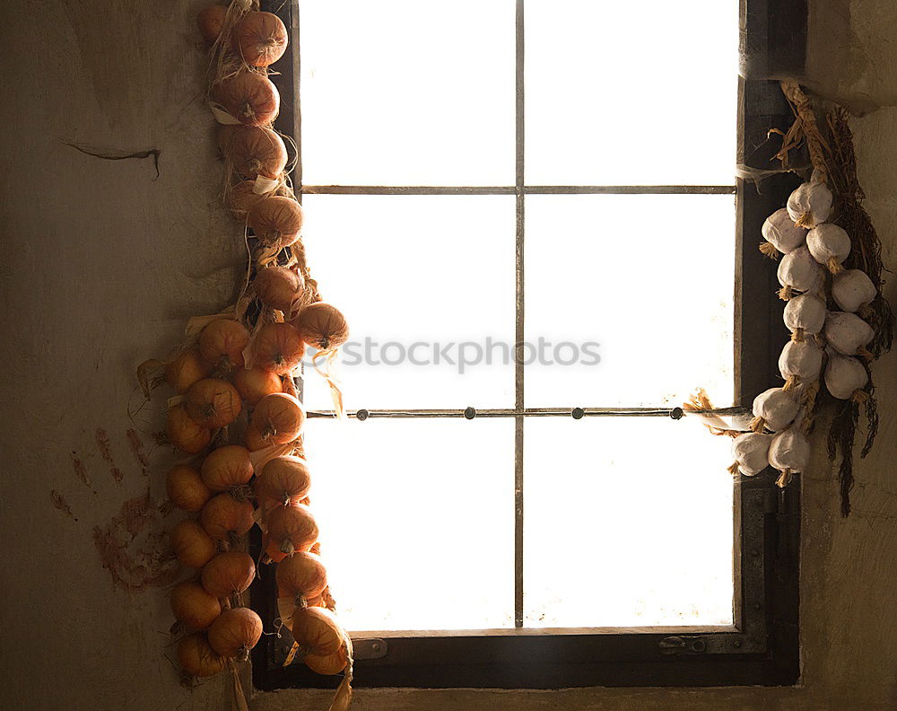 Image, Stock Photo Port of Gager