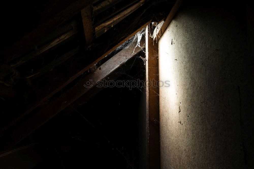 Similar – Image, Stock Photo #A# Window Hut Esthetic