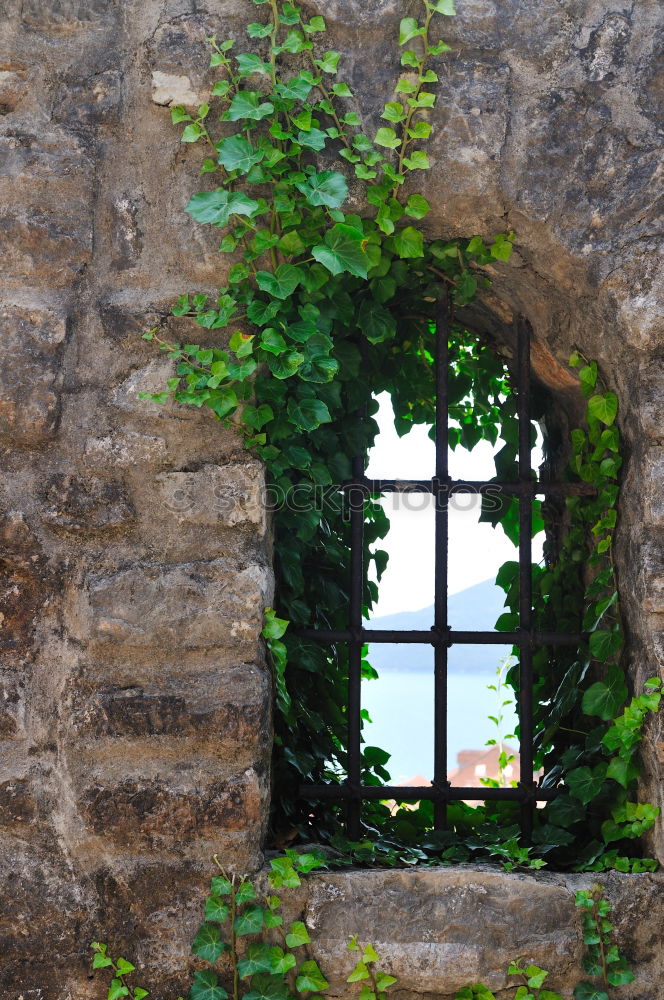 Similar – the window Spain Window