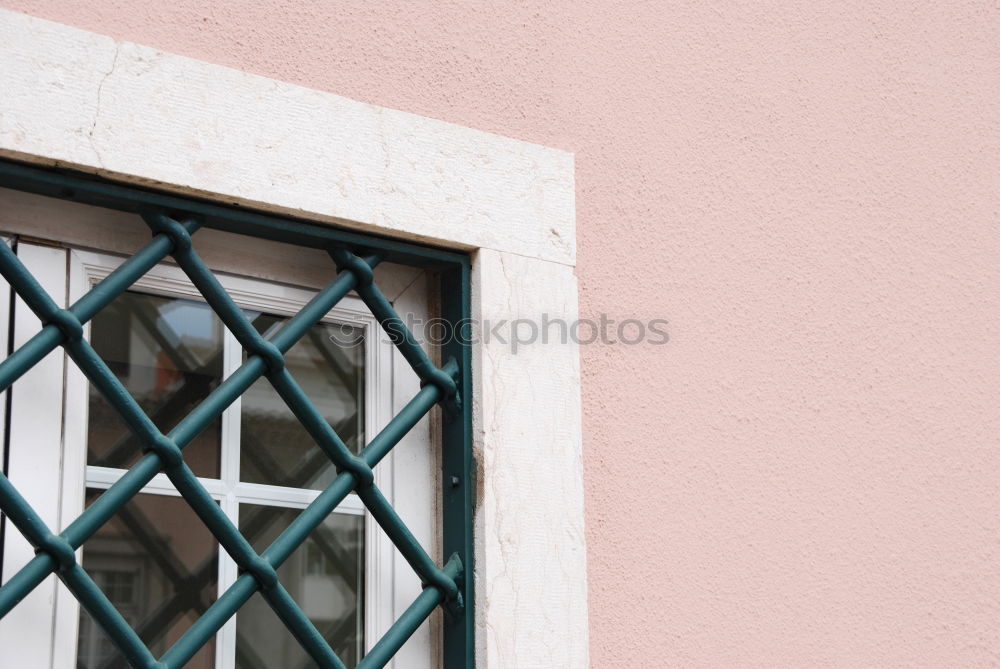 Similar – Bust at the window Window