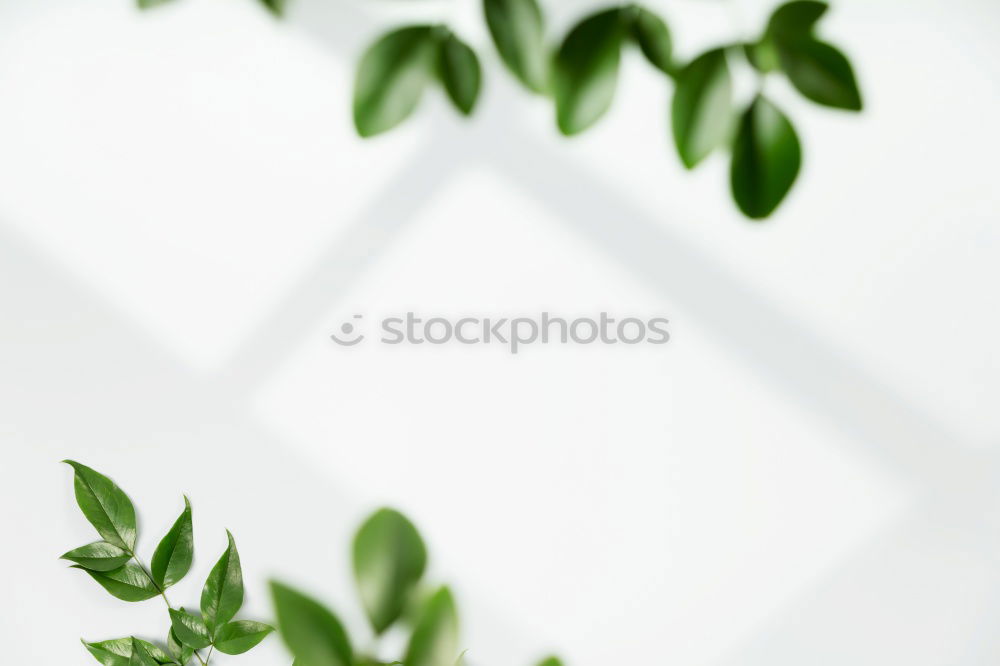 Similar – Image, Stock Photo Nature background with green leaves