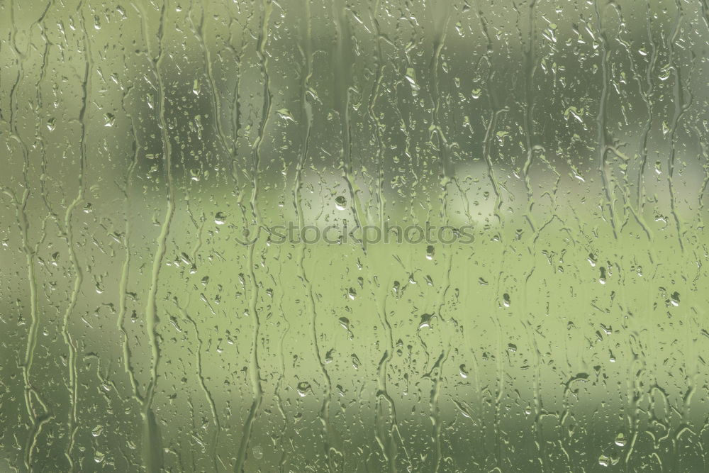 Similar – Dull view Window